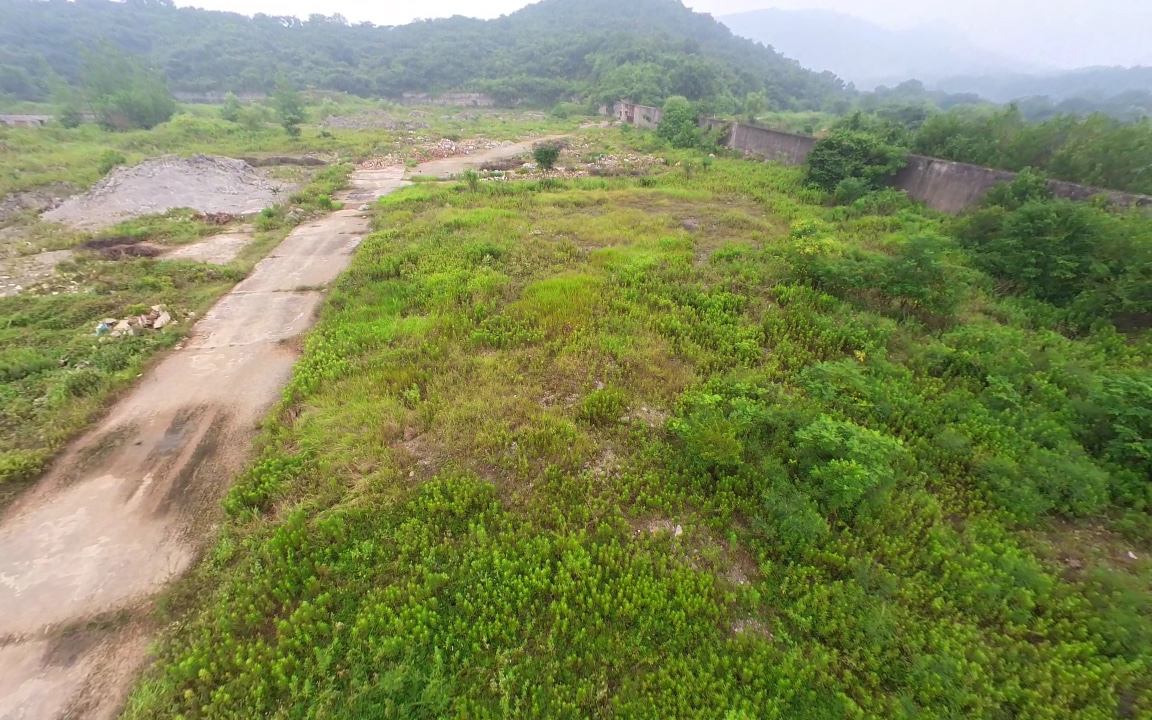 荒郊野外一键放生