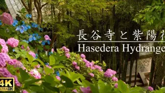 风景短片 雨中的镰仓和紫阳花 是梅雨季的风物诗啊 哔哩哔哩 Bilibili