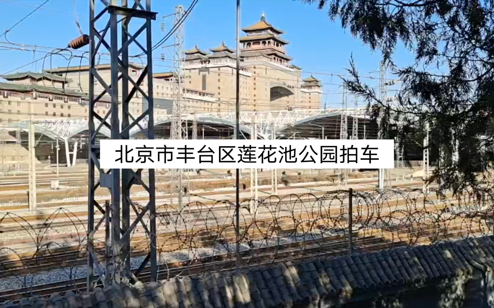 1.15北京市丰台区莲花池公园拍车