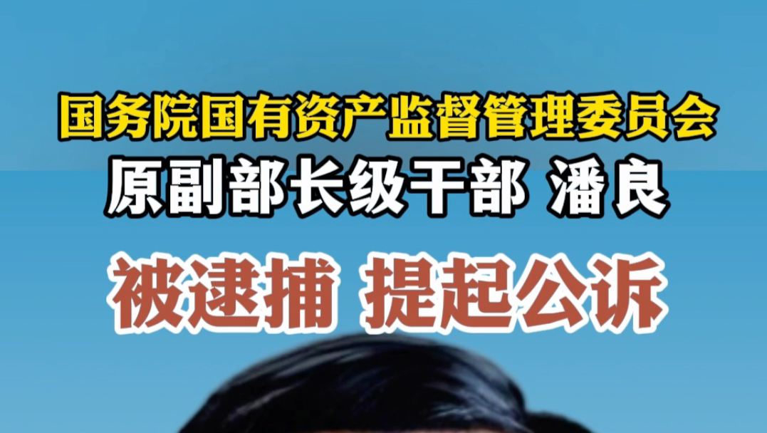 国务院国有资产监督管理委员会原副部长级干部 潘良 被逮捕提起公诉