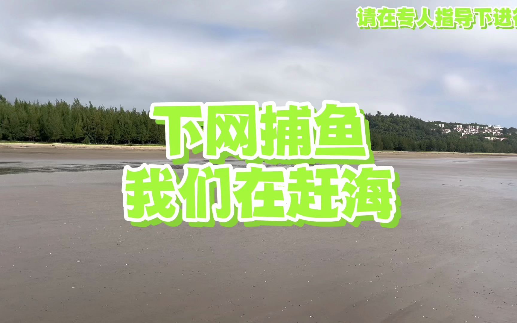 在珠海也能赶海抓鱼哔哩哔哩bilibili