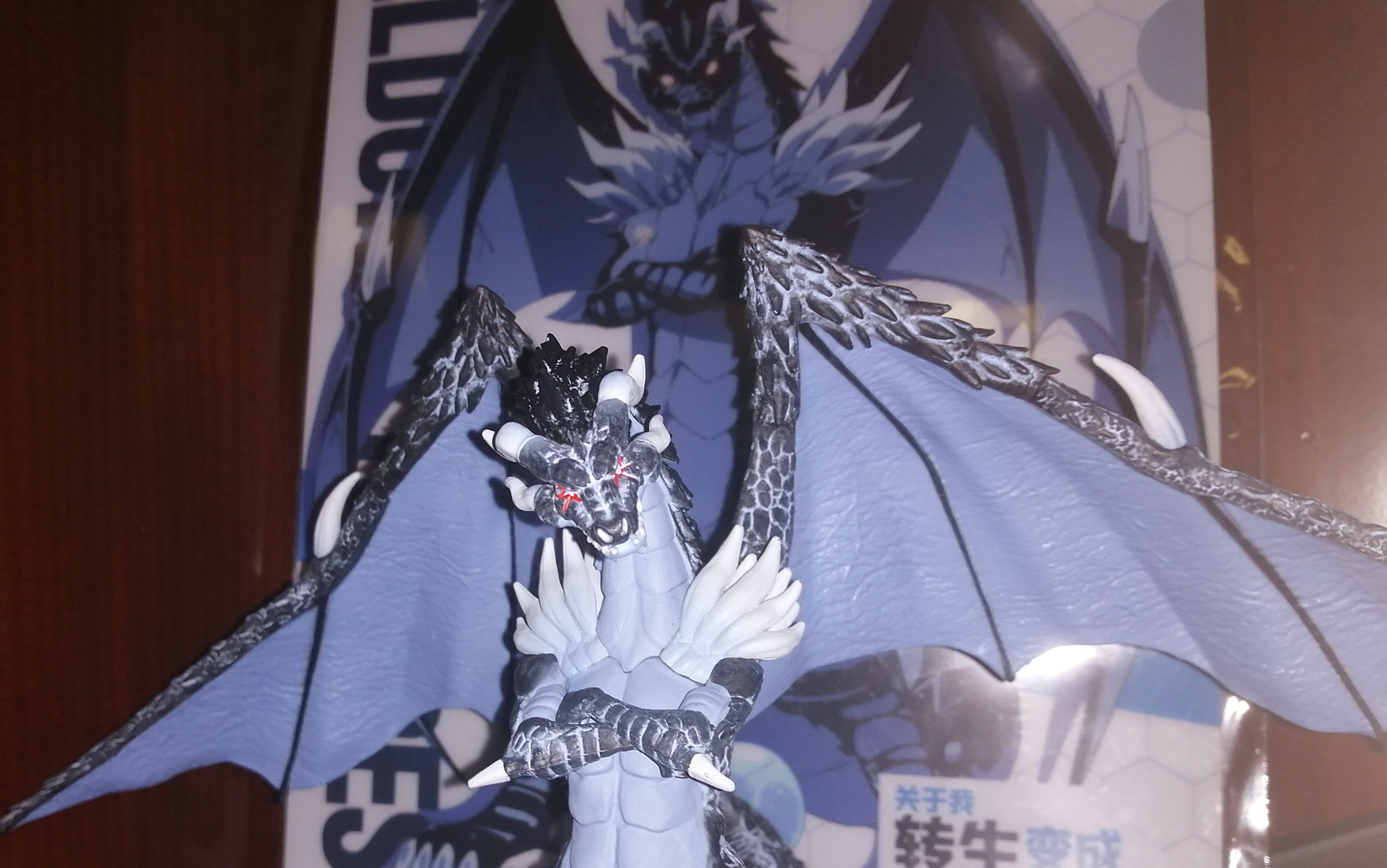 哈克菌眼镜厂暴风龙维鲁德拉开箱视频vlog01