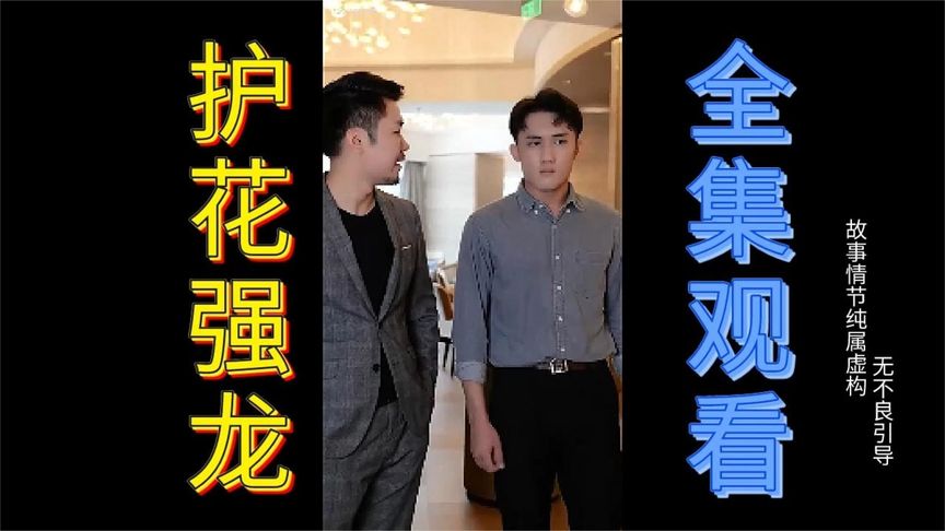 护花强龙(高清全集)