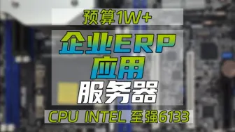企业ERP服务器，配置简单但是实用，6133处理器+64G内存 华硕Z11PA-D8C主板 两块希捷16T机械盘做raid1 热插拔塔式机箱#ERP#文件#财务