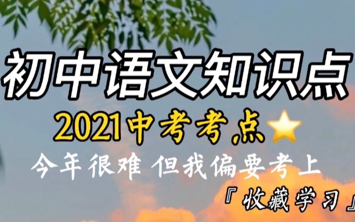 【初中语文】中考语文考点、知识点总结大全,衡水中学学霸手写笔记,超全知识点总结!哔哩哔哩bilibili