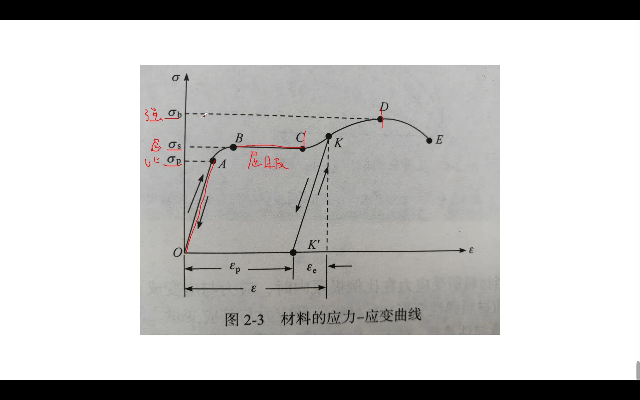 医学物理——材料的弹性哔哩哔哩bilibili