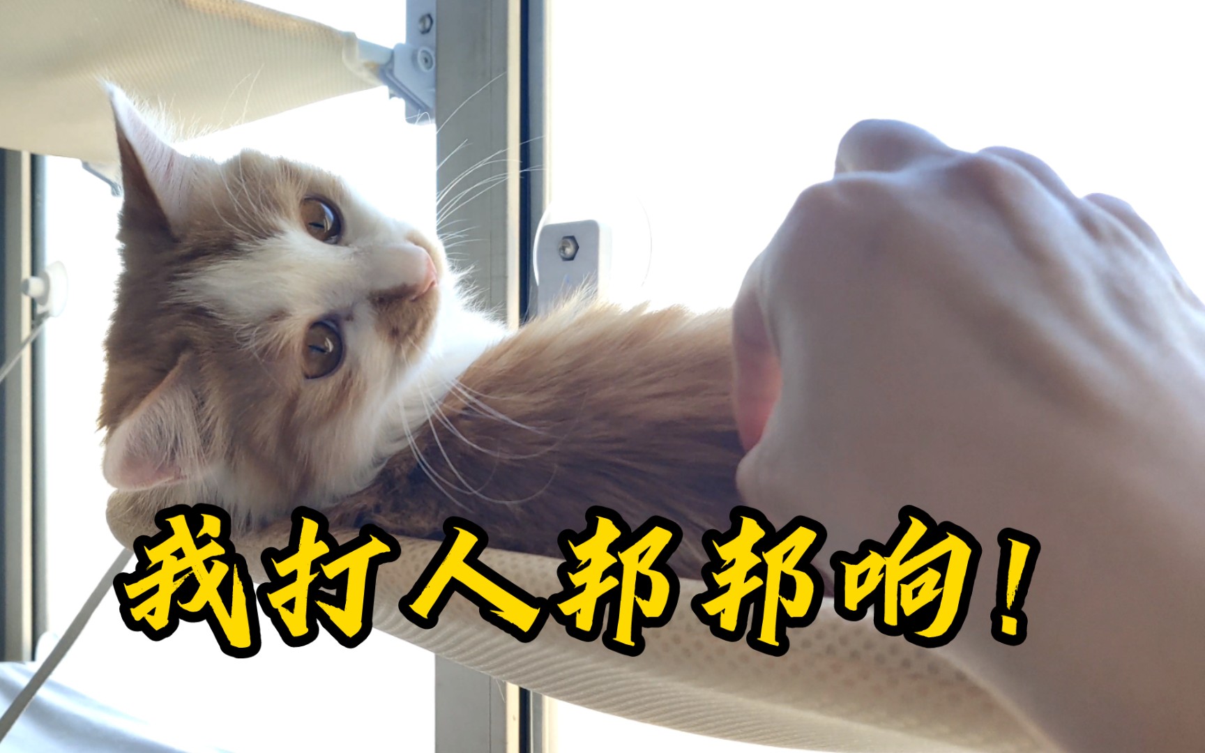 不就是刺挠你一下?真破防了啊?
