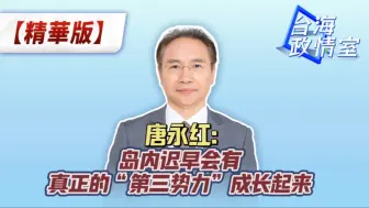 Download Video: 唐永红：岛内迟早会有真正的“第三势力”成长起来