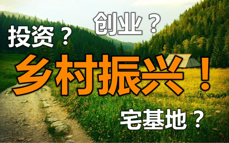 乡村振兴!?关系未来投资,创业,宅基地的大变局!哔哩哔哩bilibili