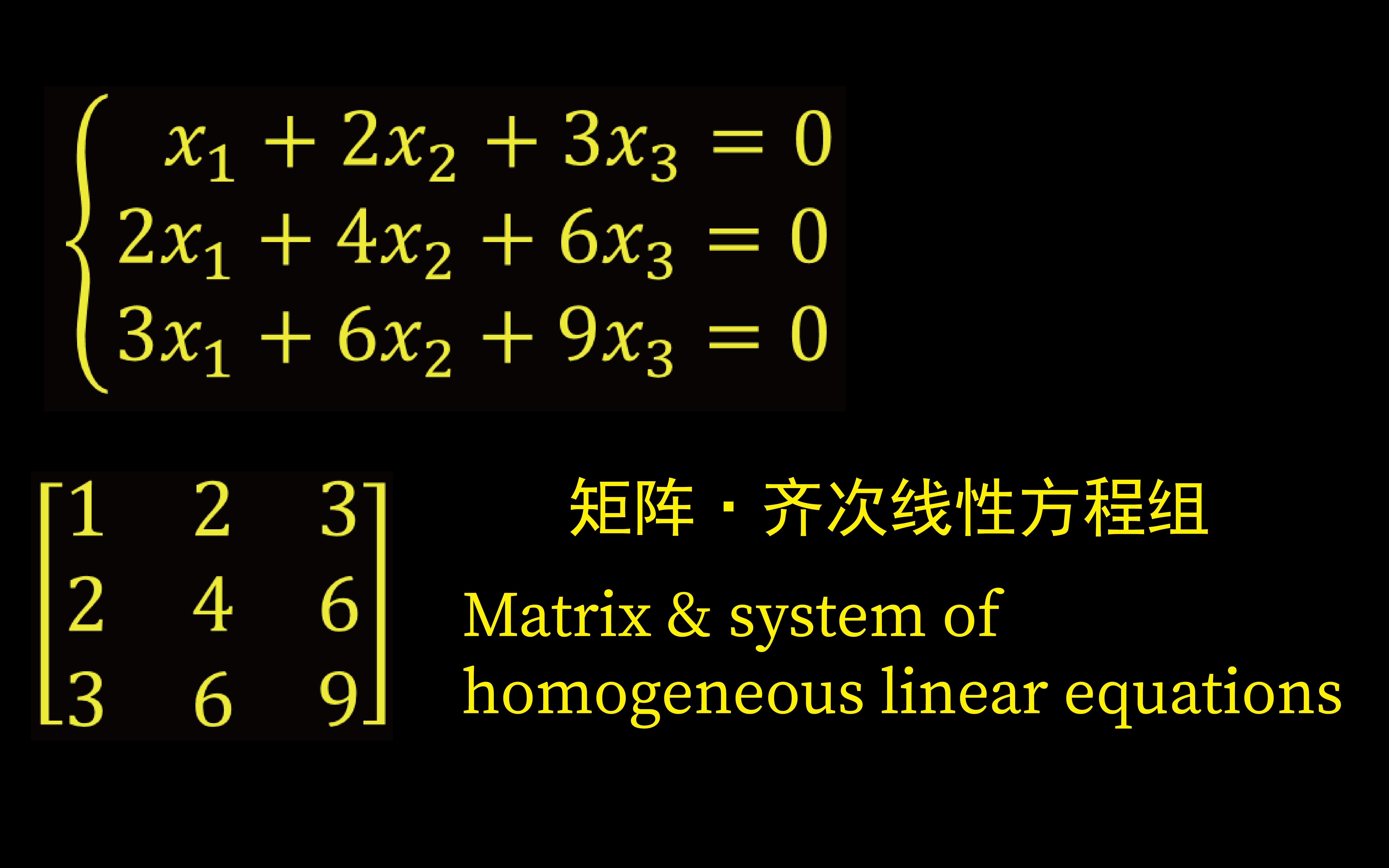 【俗说矩阵】 用矩阵解齐次线性方程组这要这么几步就搞定了!真的好简单哔哩哔哩bilibili