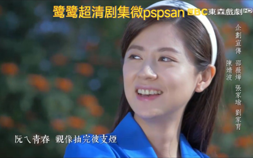 台 超清1080p 2015 台视时代剧 林予晞,韩宜邦,王思平,darren,杨子仪