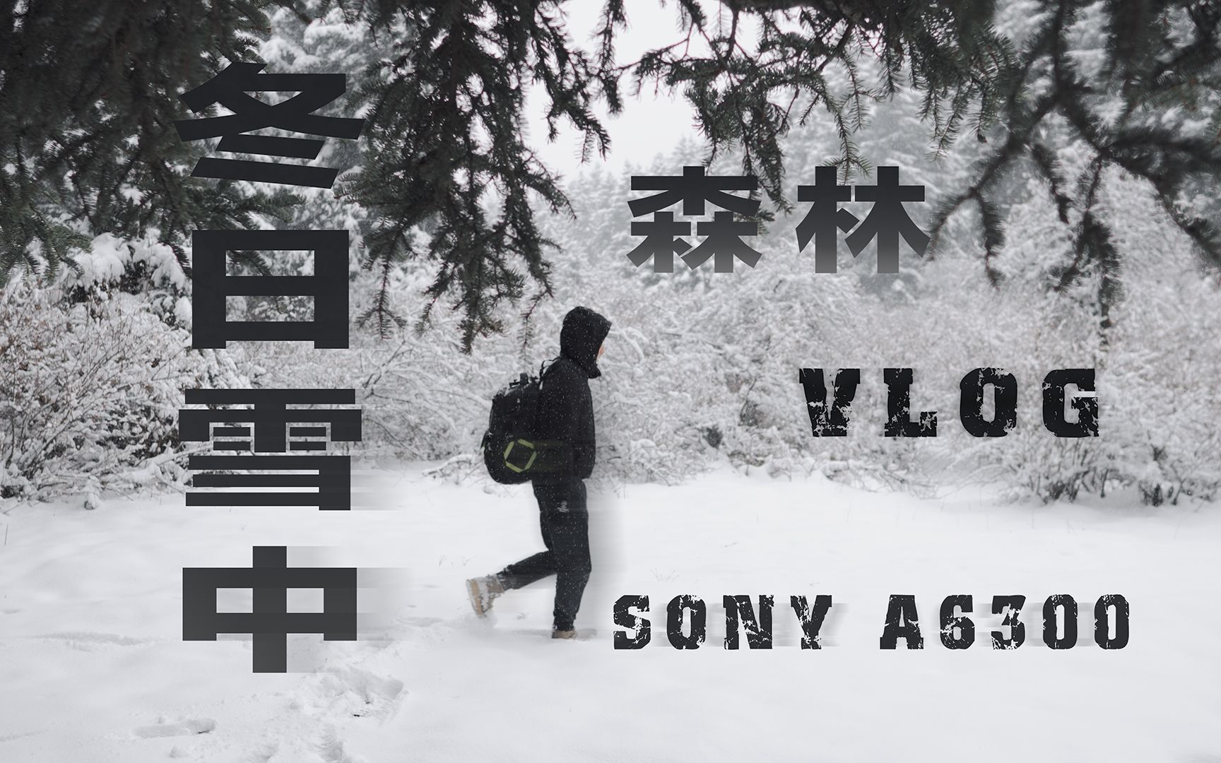 索尼a6300 四月青海雪中森林徒步vlog 今年最大的一场雪了 雪中徒步真是太美了 sony a6300依旧表现优异哔哩哔哩bilibili