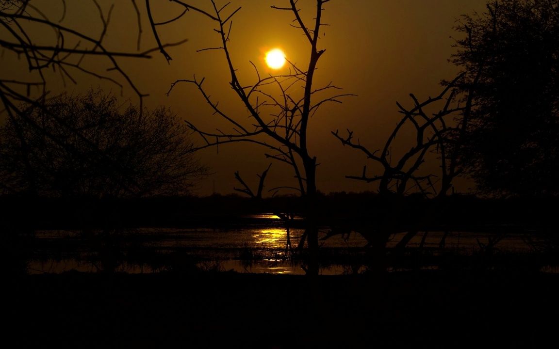 [图]视频素材 ▏k1746 4K画质海上湖面日出日落夕阳余晖金色阳光飞鸟鸟群树林树木剪影唯美大自然空镜头景色动态视频素材