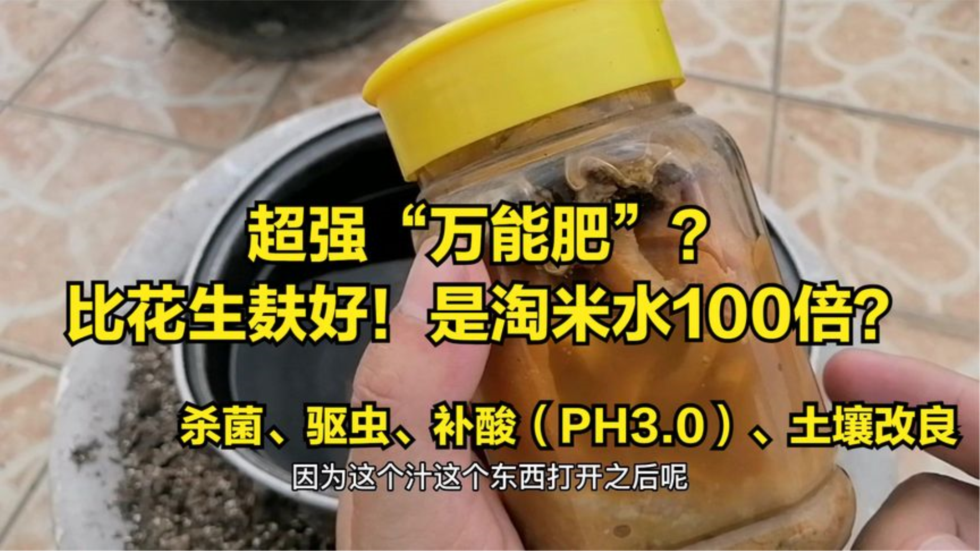 柚子皮,别丢了!自制环保酵素,杀菌、驱虫、补酸还改良土壤板结哔哩哔哩bilibili