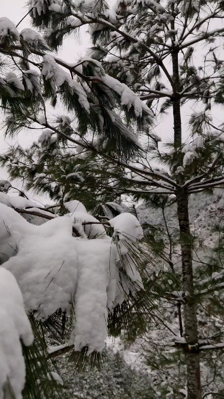 下雪天的农村