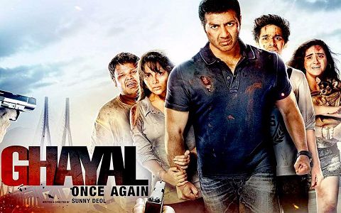【动作 剧情 亲情】铁窗怒火续集ghayal once again 2016【印度电影