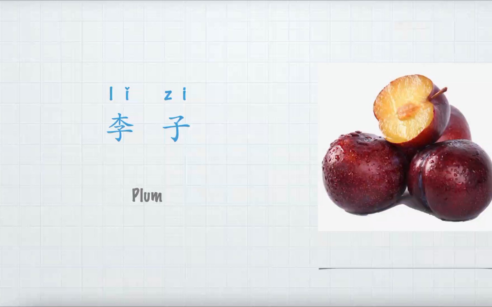 李子英文怎么说,水果Fruit:Plum哔哩哔哩bilibili