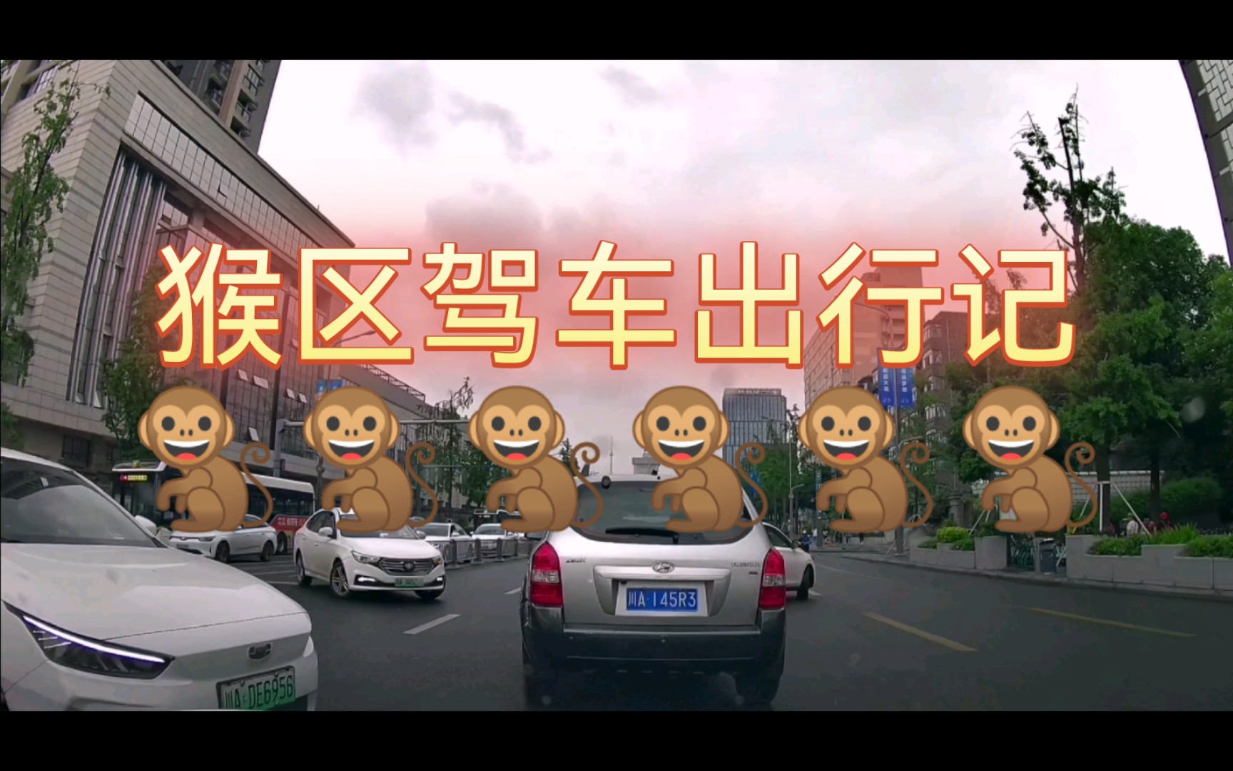 路面无蜀黍,猴儿靠自觉? ——记近日交通实况哔哩哔哩bilibili