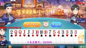 跑得快 上家加倍了 我只能选择低调 没想到结局出人意外 哔哩哔哩 つロ干杯 Bilibili