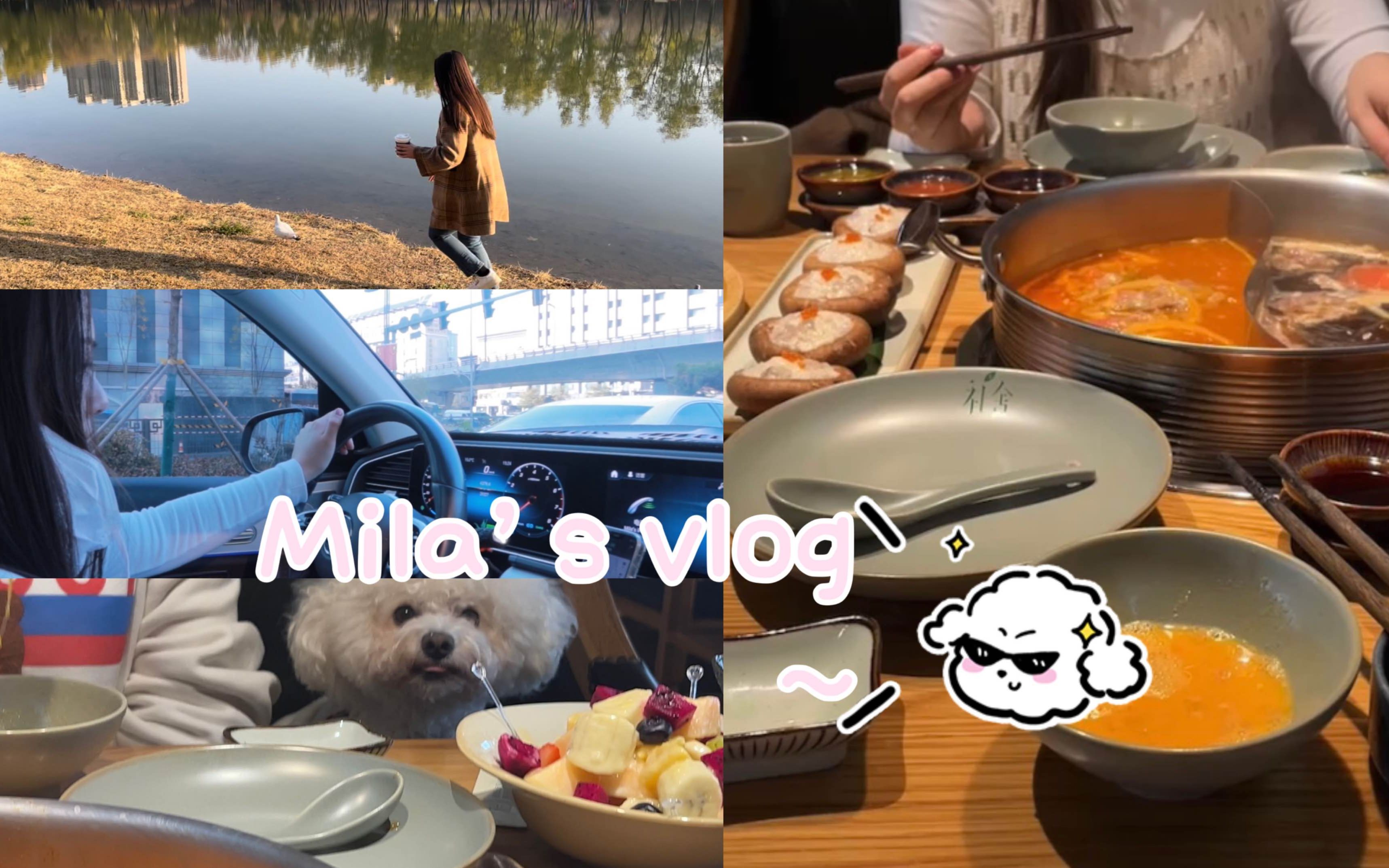 Mila's vlog|太原探店|太原森林公园一日游𐟍‚|开车日常𐟚—|咖啡☕|火锅局𐟥‚~~哔哩哔哩bilibili