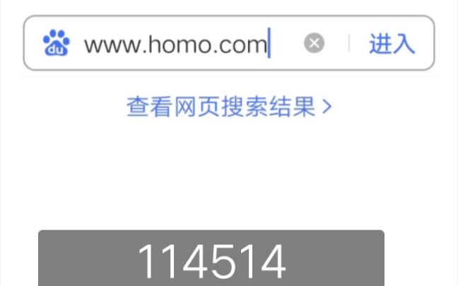 在浏览器搜索homo网站哔哩哔哩bilibili