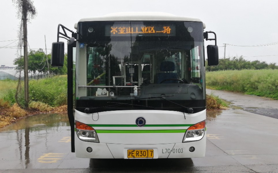 (金山巴士)上海金山工业区二路公交车全程(欢兴村群力→朱行中学)车号