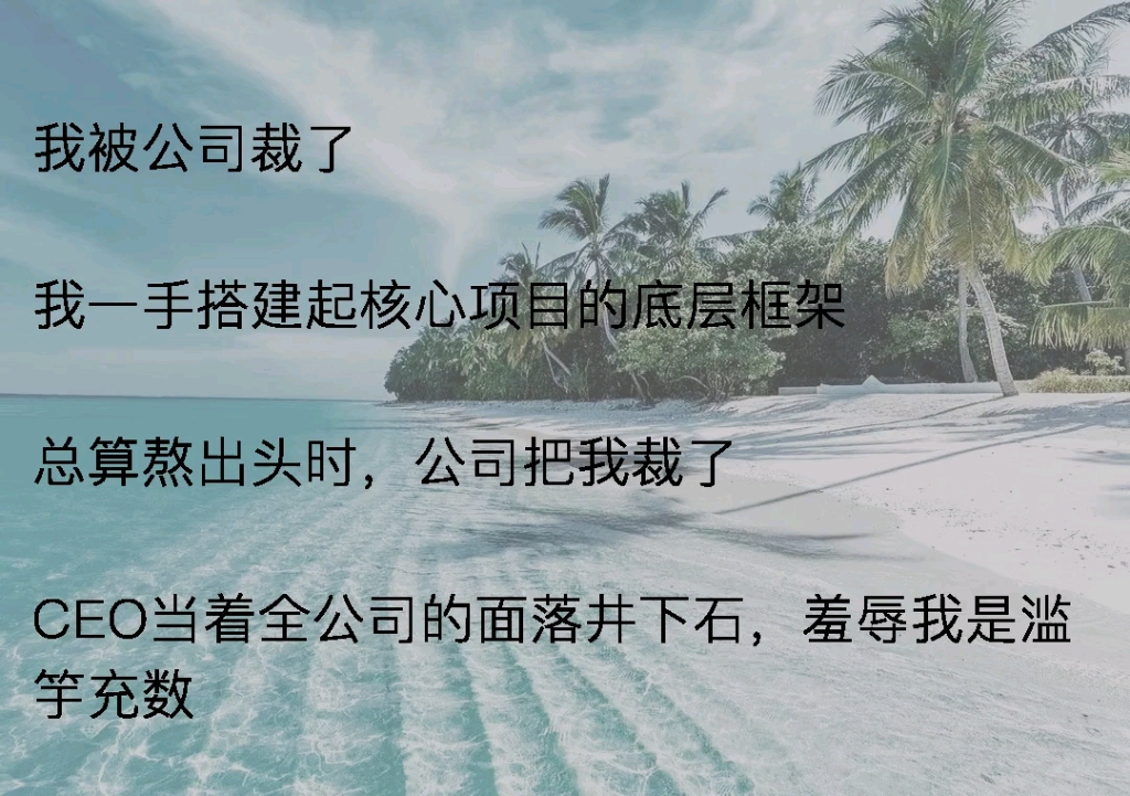 [图]公司把我裁了，在我完成够；公司核心项目的底层框架的时候《架构余味》