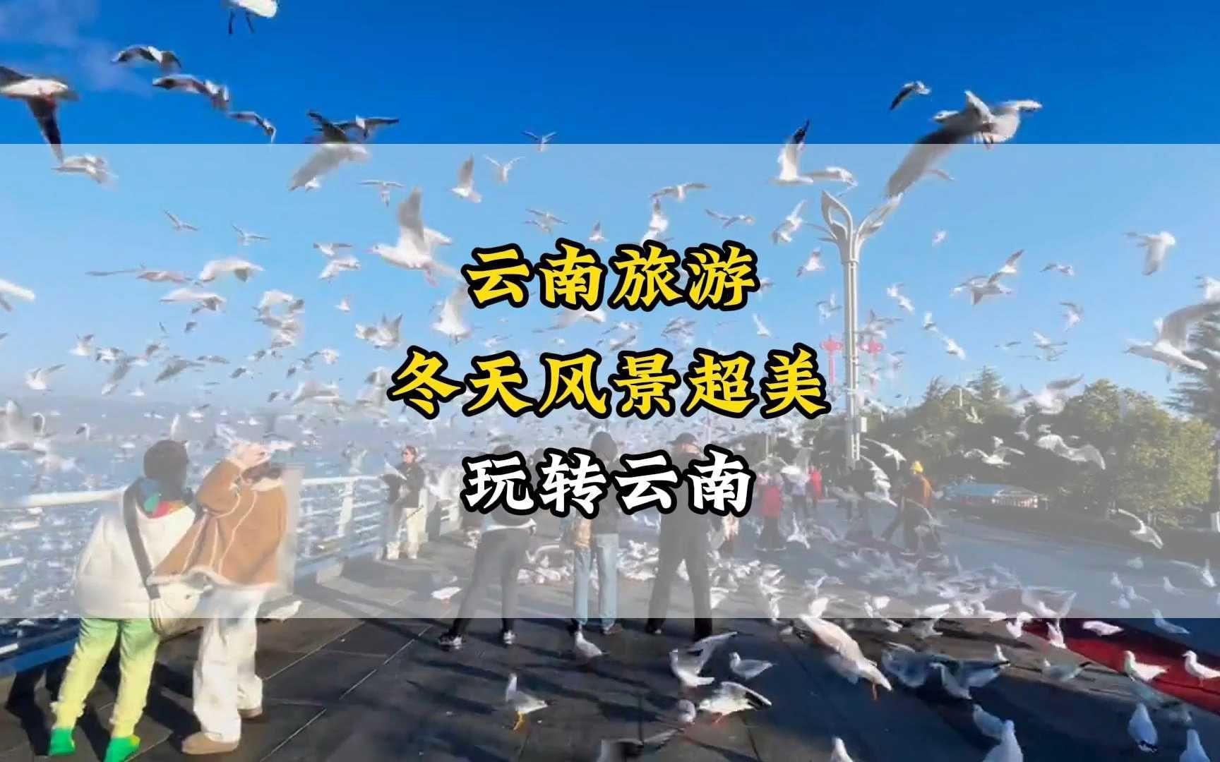 现在的云南,风景超美,有没有打动你呢?哔哩哔哩bilibili