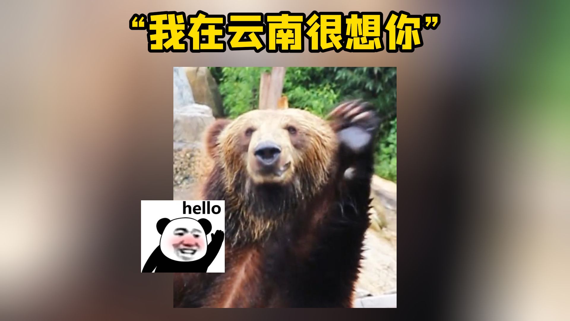 贵州黔灵猴看不够?来云南逛逛吧哔哩哔哩bilibili