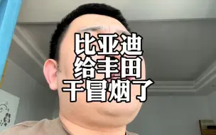 Download Video: 比亚迪秦L给卡罗拉干冒烟了，新车价格崩盘