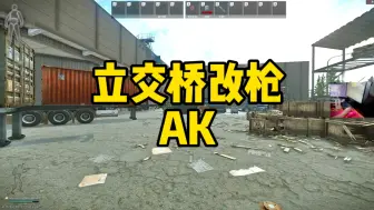 Download Video: 逃离塔科夫 立交桥改枪AK