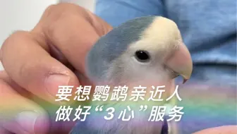 要想鹦鹉亲近人，做好“3心”服务～