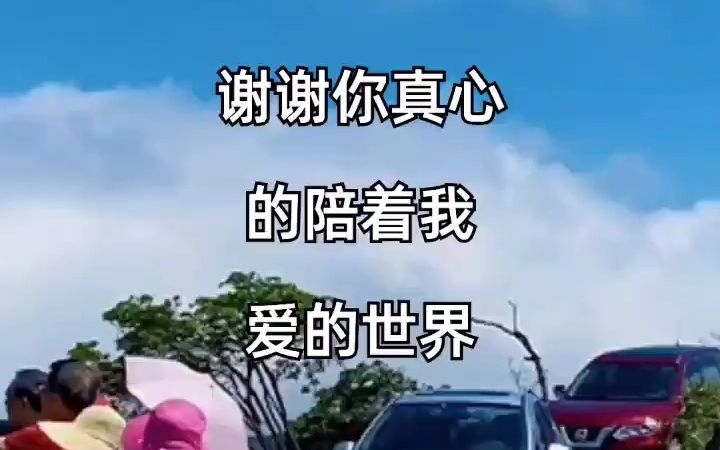 谢谢你真心的陪伴着我