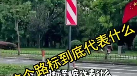 这个路标到底代表什么意思?哔哩哔哩bilibili