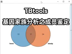 下载视频: 【TBtools】做基因家族之基因家族成员鉴定