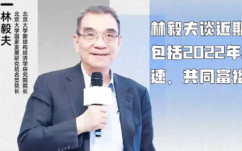 林毅夫讲授演讲:2022经济增速、共同富裕、创新哔哩哔哩bilibili