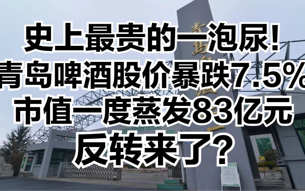 史上最贵的一泡尿!青岛啤酒股价暴跌7.5%,市值一度蒸发83亿元!反转来了?哔哩哔哩bilibili