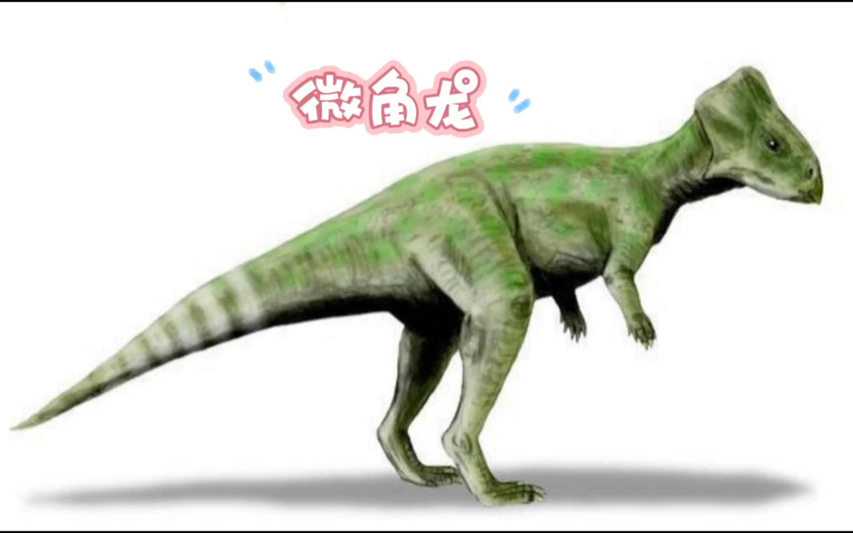 恐龙世界:微角龙