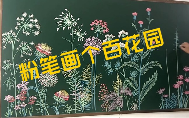 超精美粉笔画,百花园哔哩哔哩bilibili