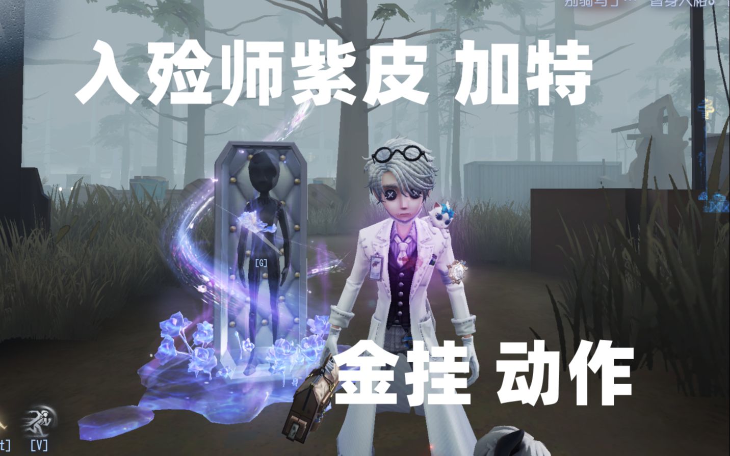 入殓师紫皮 加特 金挂 动作 游戏内实测