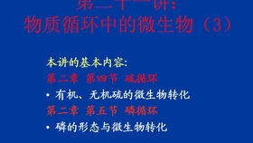 环境微生物学 浙江大学 主讲 郑平55讲 哔哩哔哩 つロ干杯 Bilibili