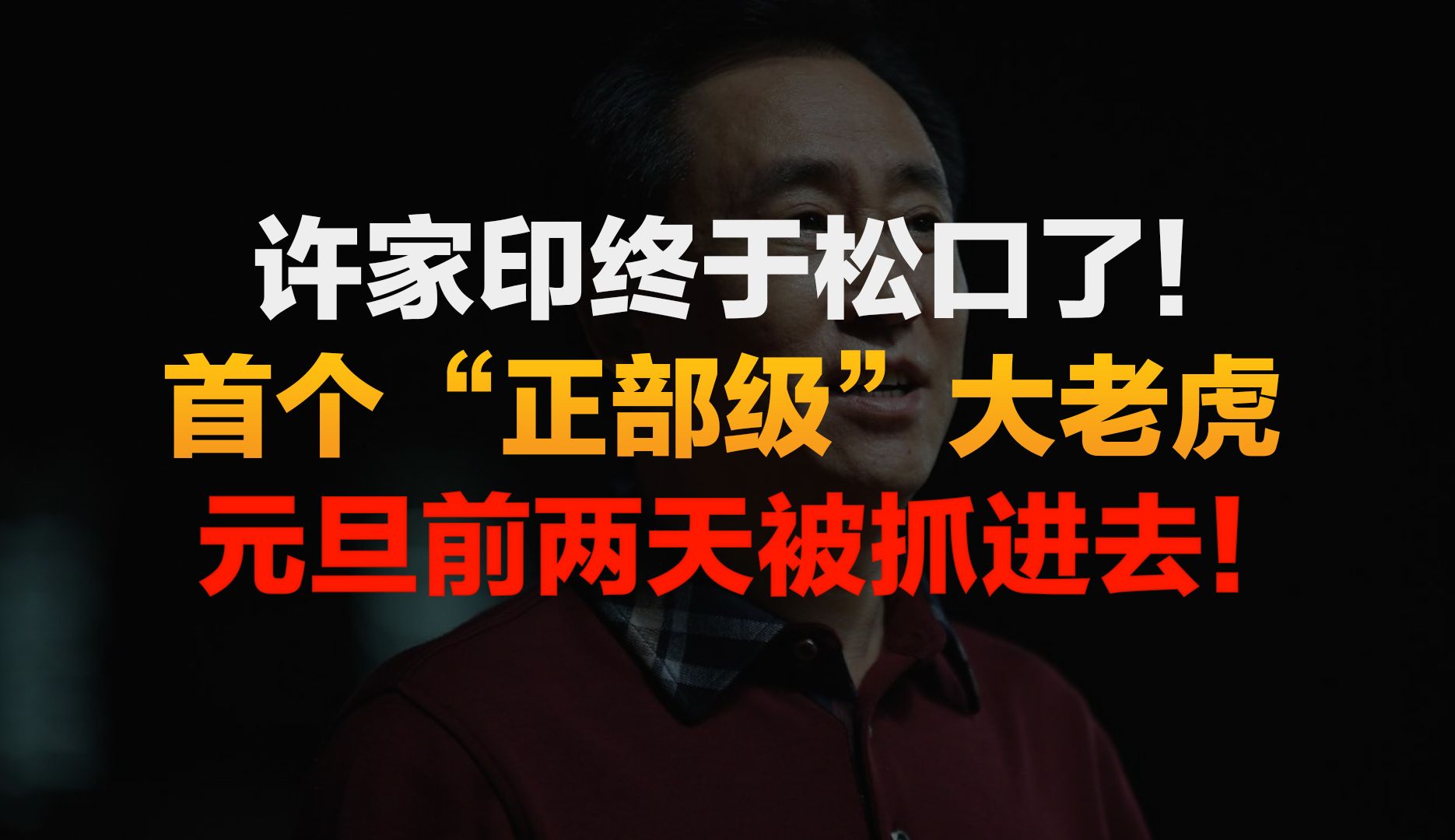 许家印终于松口了!首个“正部级”大老虎,被逮捕了!哔哩哔哩bilibili