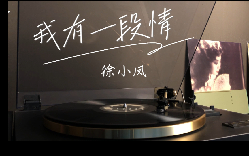 怀旧复古《我有一段情》徐小凤