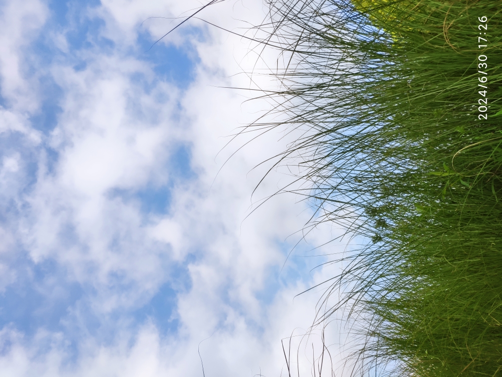 【唯美】4k高清风景素材