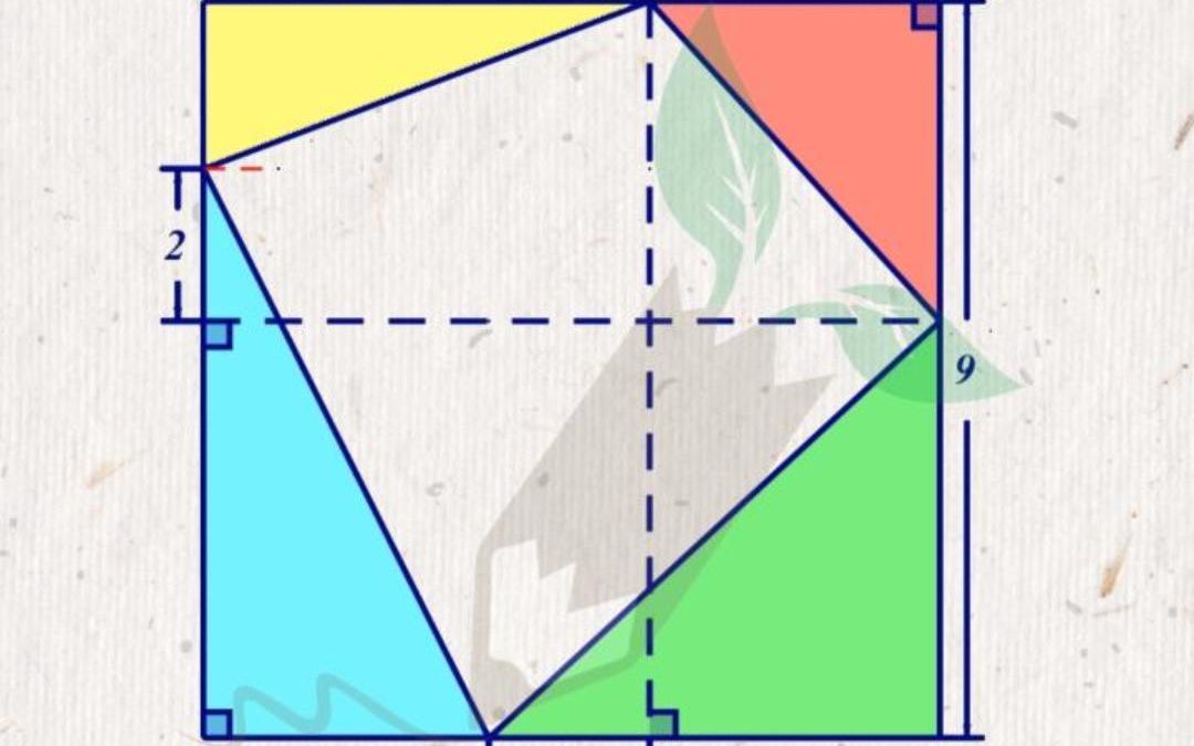 长方形一半模型