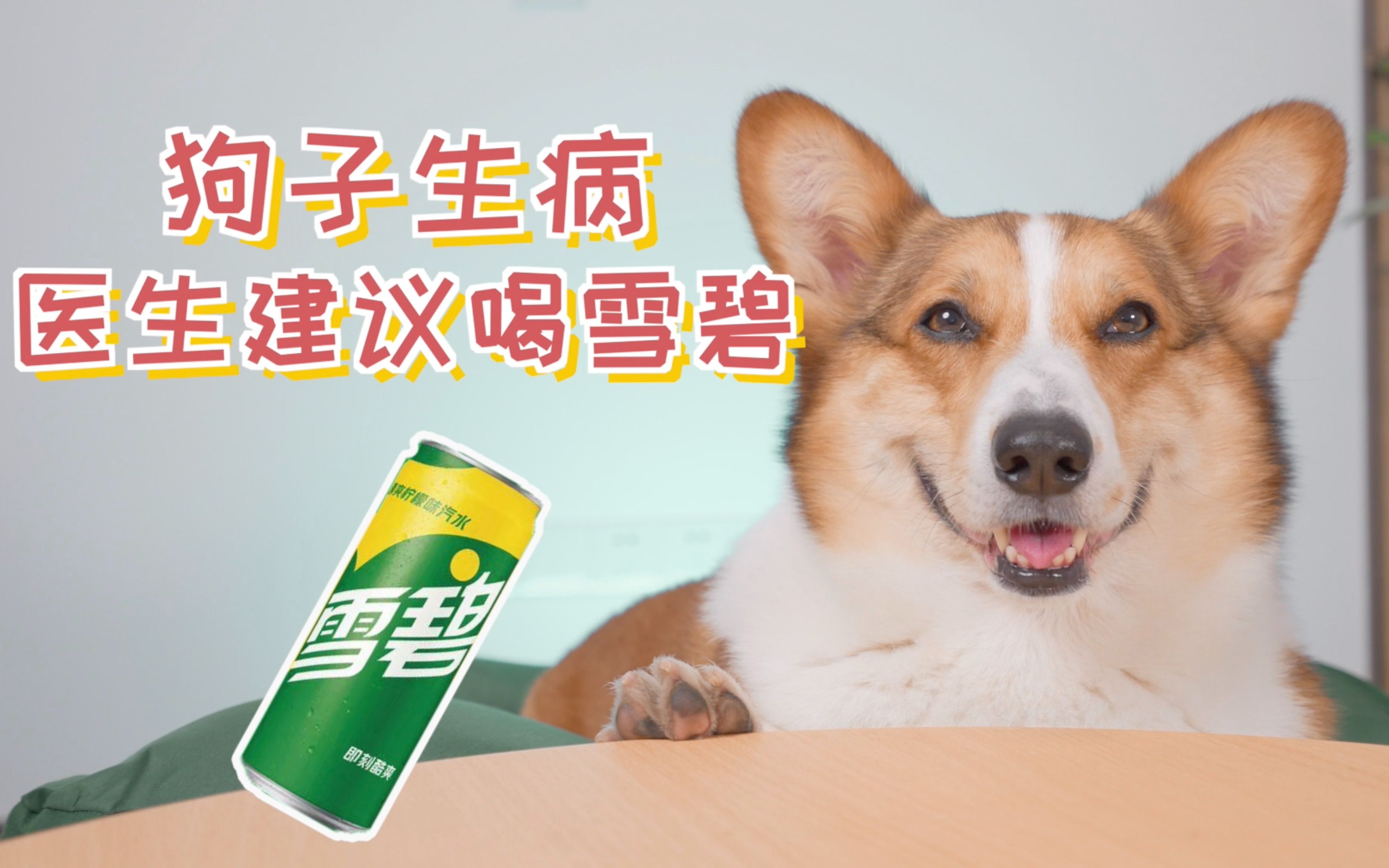狗子生病了,医生建议喝雪碧,加快治疗