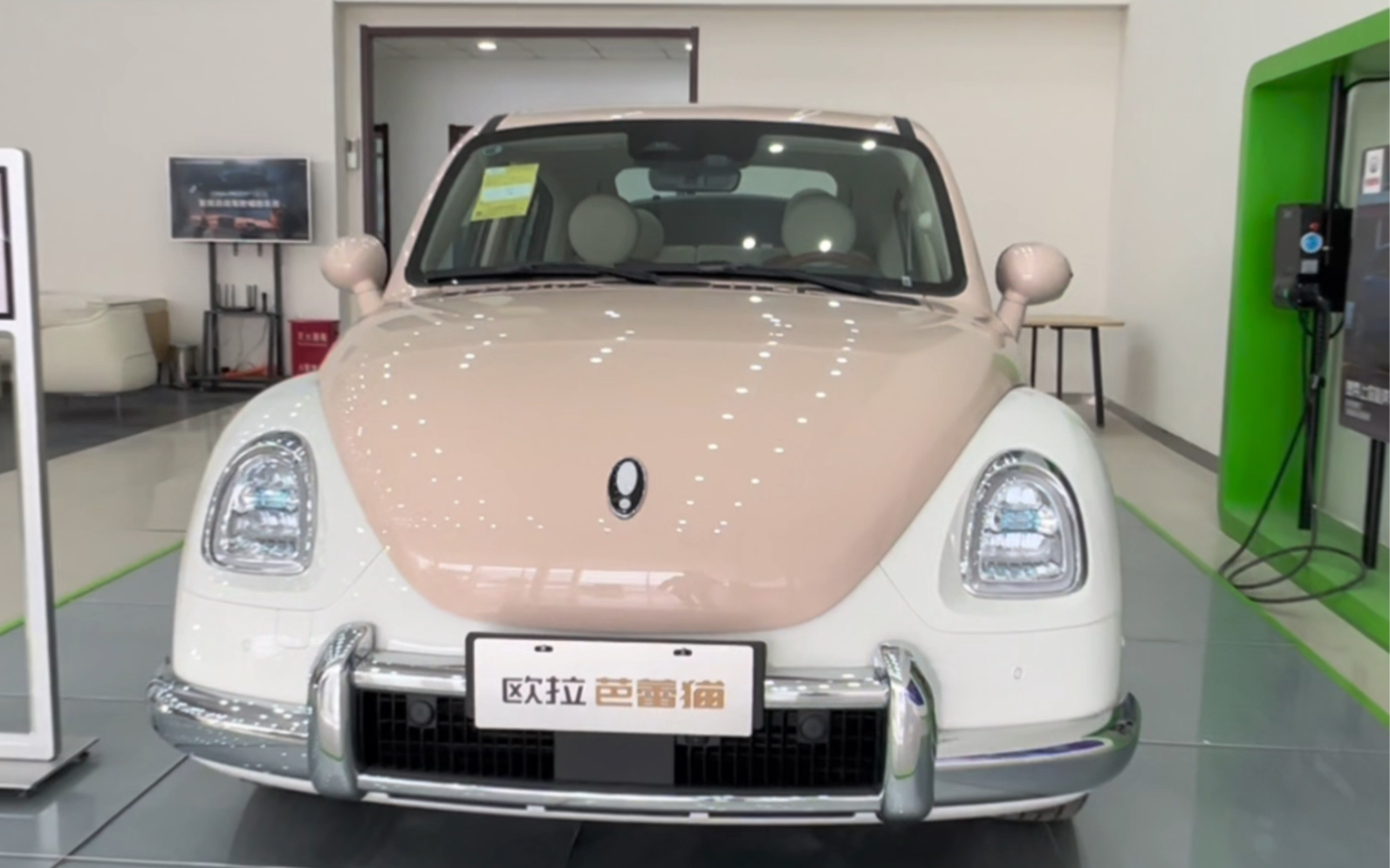 欧拉芭蕾猫超大时尚单品 #欧拉芭蕾猫 #欧拉漂亮研究所 @欧拉汽车