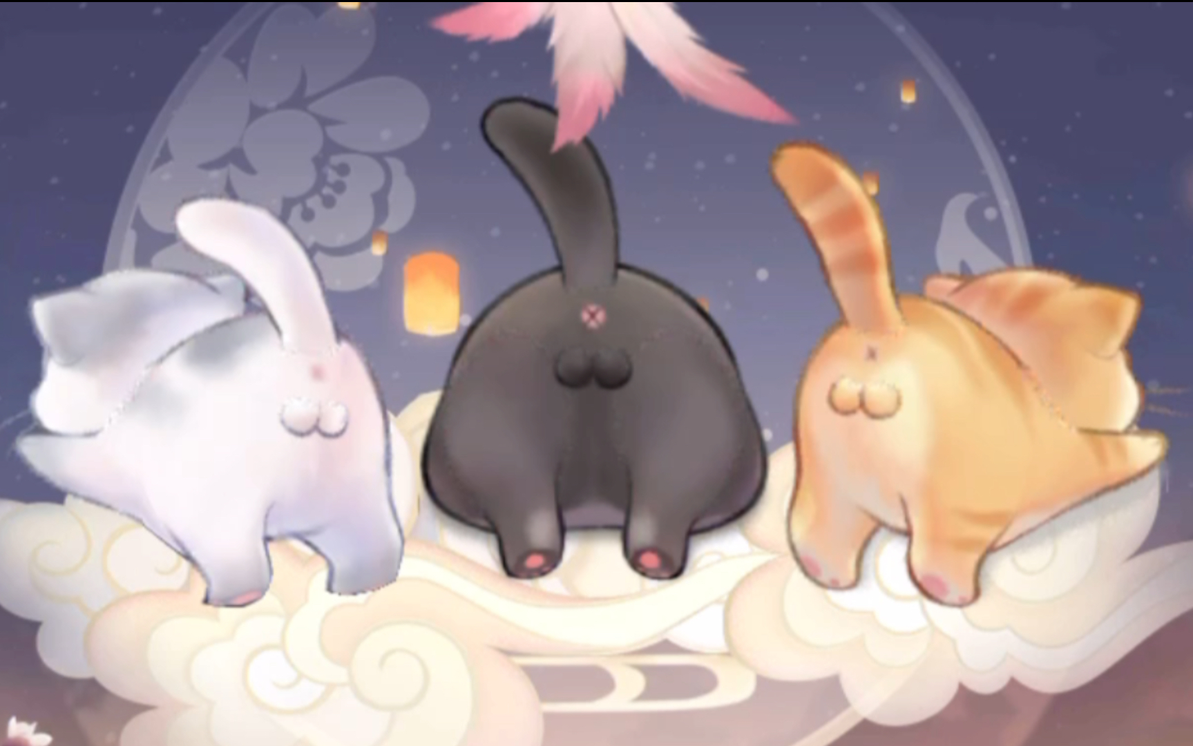 【灵猫传】一起来rua猫咪的肉球球_哔哩哔哩_bilibili