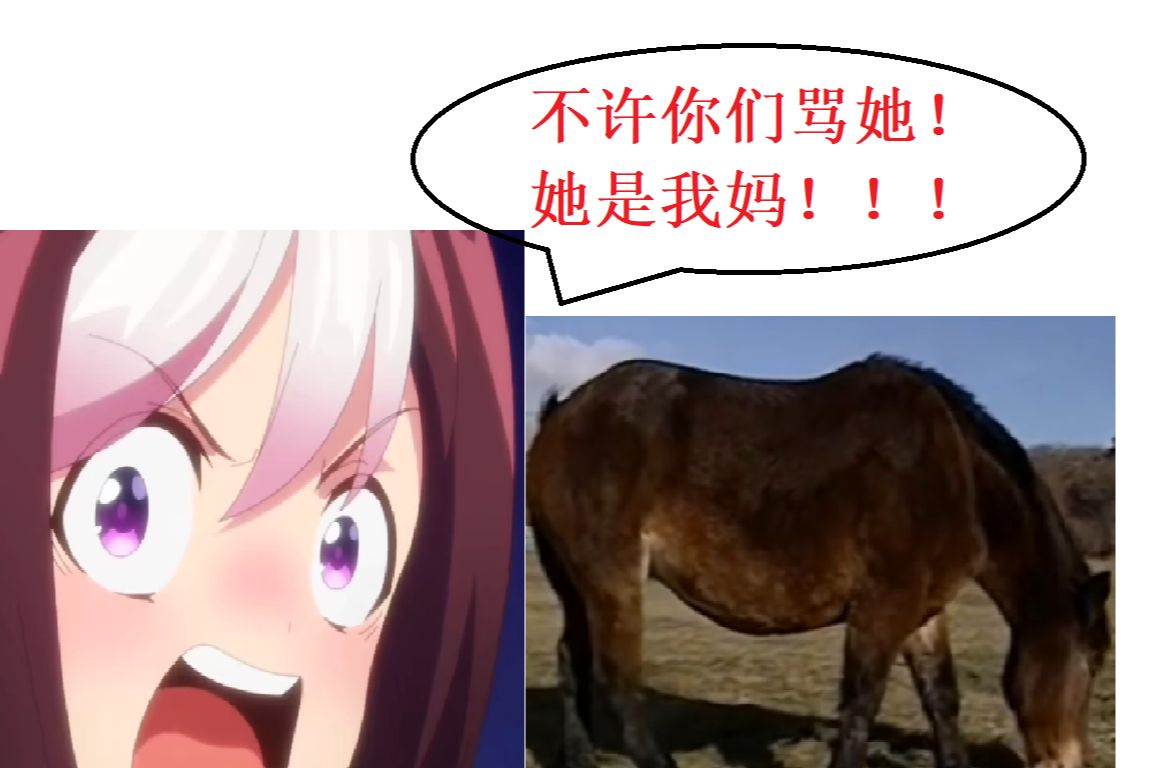 壁纸 动物 狗 狗狗 1150_768