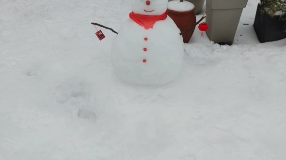 好久没看见雪人了